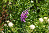 Select an image to enlarge