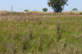 Select an image to enlarge