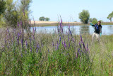 Select an image to enlarge