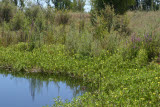 Select an image to enlarge