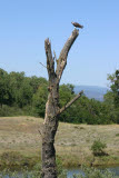Select an image to enlarge