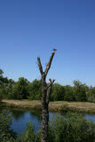 Select an image to enlarge