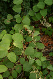 Select an image to enlarge