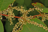 Select an image to enlarge