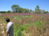 Select an image to enlarge
