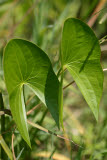 Select an image to enlarge