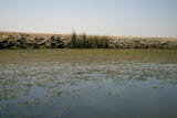 Select an image to enlarge