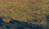 Select an image to enlarge