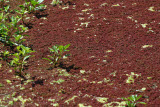 Select an image to enlarge