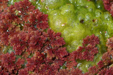 Select an image to enlarge
