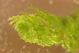 Select an image to enlarge