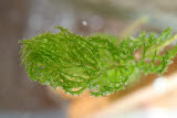 Select an image to enlarge
