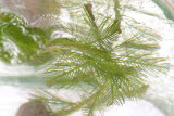 Select an image to enlarge