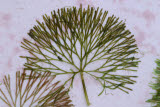 Select an image to enlarge