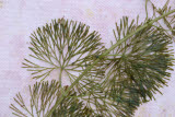 Select an image to enlarge