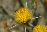 Select an image to enlarge