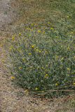 Select an image to enlarge