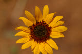 Select an image to enlarge