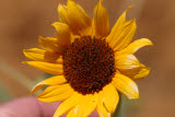 Select an image to enlarge