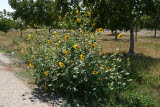Select an image to enlarge