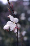 Select an image to enlarge