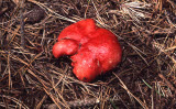 Select an image to enlarge