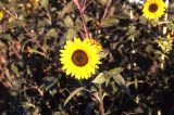 Select an image to enlarge