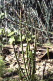 Select an image to enlarge