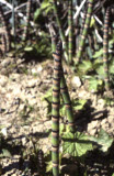 Select an image to enlarge