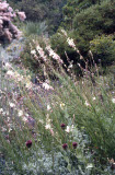 Select an image to enlarge