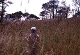 Select an image to enlarge