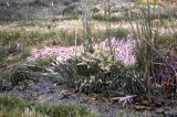 Select an image to enlarge
