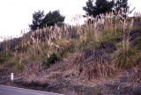 Select an image to enlarge