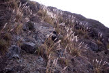 Select an image to enlarge