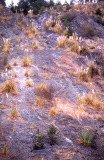 Select an image to enlarge