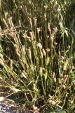 Select an image to enlarge