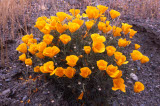 Select an image to enlarge