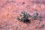 Select an image to enlarge