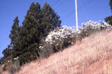 Select an image to enlarge