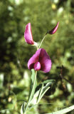 Select an image to enlarge