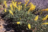 Select an image to enlarge
