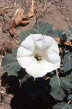 Select an image to enlarge