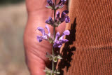 Select an image to enlarge