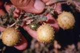 Select an image to enlarge