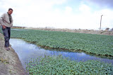 Select an image to enlarge