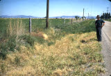 Select an image to enlarge
