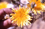 Select an image to enlarge