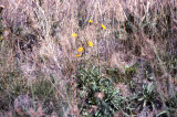 Select an image to enlarge