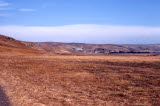 Select an image to enlarge