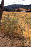 Select an image to enlarge